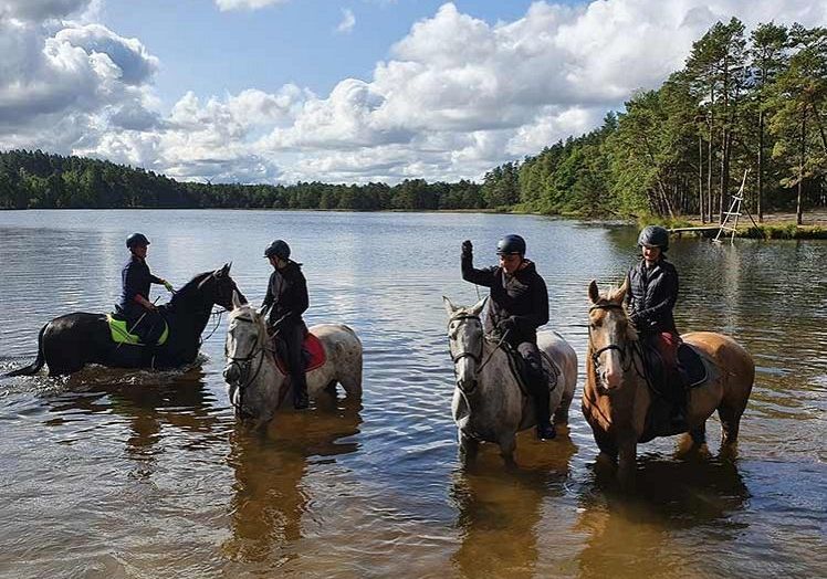 Stadnina Koni Maciukiewicz